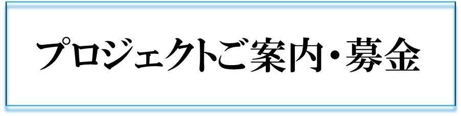 プロジェクトページ
